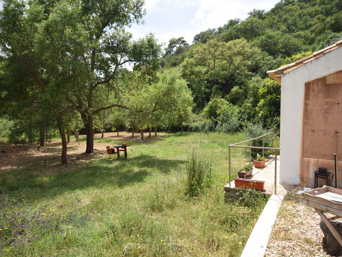 Quiet And Cottage In The Estate Casas Da Cerca Troviscais Exteriér fotografie